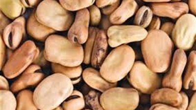 17 جنيهًا لكيلو الفول بالقاهرة.. اليوم