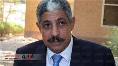 ضبط اثنين من أنصار «المعزول» بتهمة التحريض على العنف في أسوان