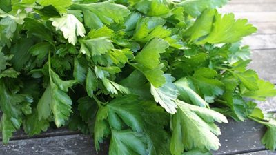 دراسة: البقدونس يحمي من السرطان والسكر