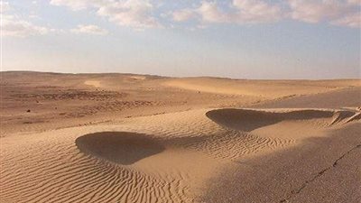 اختراع جديد لحماية جنوب سيناء من الكثبان الرملية