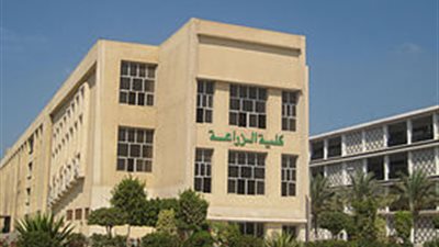 مصر تستضيف المؤتمر الدولي الثاني عشر لتكنولوجيا الصحراء.. 16 نوفمبر