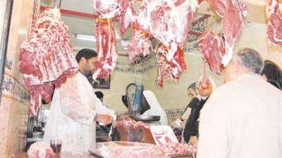 وهبة: الدولة لا تهتم بالثروة الحيوانية