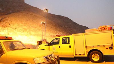 بالصور.. قرد يتسبب في موت حاج تركي بمكة المكرمة