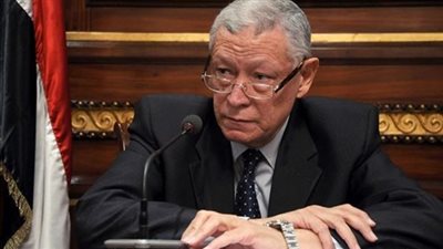 مستشار الرئيس: الاستفتاء يحسم عملية الانتخابات