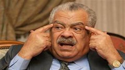 الكفراوى: ترعة السلام من فعل الشيطان