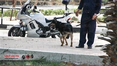 الشرطة تمشط محطة مترو «عين شمس» بالكلاب البوليسية