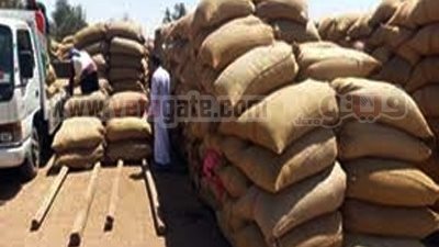 تفريغ 200 ألف طن قمح مستورد بالموانئ لصوامع التموين