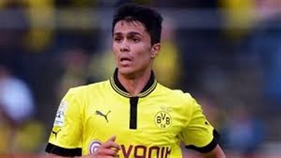 هانوفر يضم بيتنكورت لاعب خط وسط بروسيا دورتموند