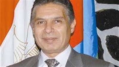 سفير مصر بالإمارات: 90% من الناخبين قالوا «نعم» للدستور