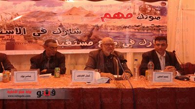 «الهلباوي» يدعو للتصويت بـ«نعم للدستور»: يبني مصر الحديثة ويحمي الحقوق