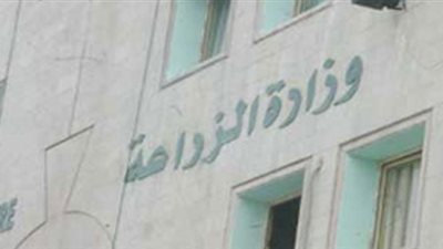 عجائب رشاوى المسئولين.. حج وإفطار رمضاني ضمن فساد «الزراعة».. قلادة وخاتم سوليتير يكشف الانحراف في «الاستثمار».. رشوة جنسية تطيح برئيس محكمة.. و«عريس» هدية ناخبات حزب 