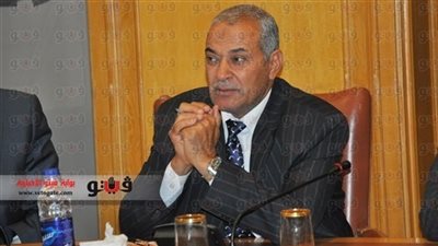 «شعبة الدواجن»: «كيلو الفراخ بـ13 وكرتونة البيض بـ16 جنيهًا»