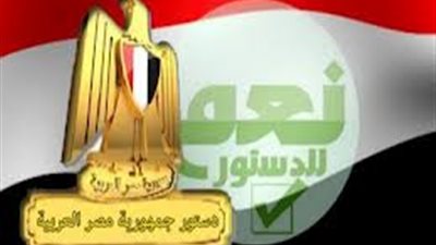 2782 مصريًا في نيويورك يصوتون بـ«نعم للدستور» و«لا» تحقق 31 صوتًا