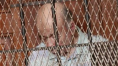 اليوم..الحكم في تظلم «والي» ضد منعه من التصرف في أمواله