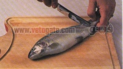 طريقة تنظيف السمك وحفظه