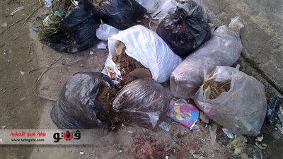 بالصور.. تراكم القمامة بسبب إضراب عمال دمنهور