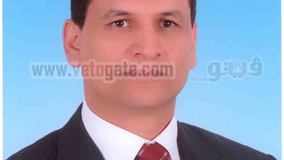 عنبة: انخفاض البورصة يعكس فشل إدارة مرسى