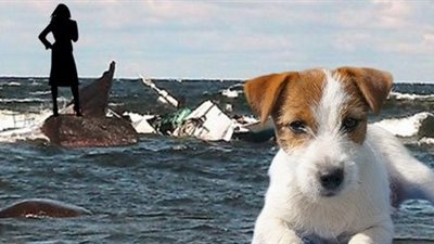 رجل أعمال ينقذ 