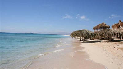 خلو شواطئ الغردقة من الأسماك النافقة بعد مسح 20 كيلومترا بطول الساحل