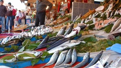 البلطي يواصل استقراره..والمكرونة الخليجي ترتفع جنيهين