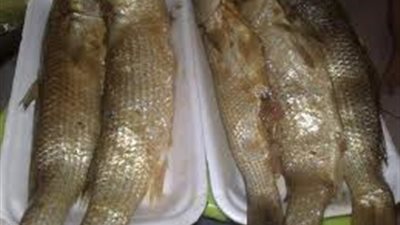 65 جنيهًا لكيلو الفسيخ مغلف و16 جنيهًا للرنجة