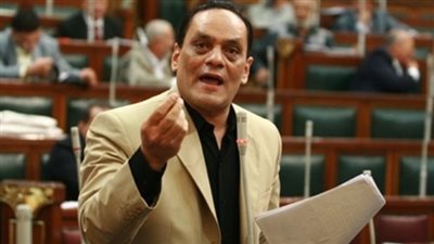 الصايغ: نتائج التصويت على الاستفتاء بالخارج مؤشر مبشر