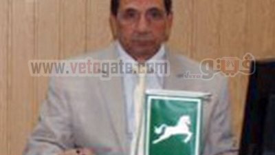 أمين يوسف: مكامير الشرقية متوقفة لحماية البيئة