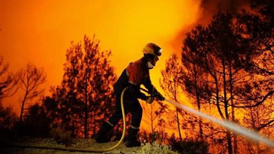 مقتل شخص وفقدان 4 جرَّاء حرائق الغابات في أستراليا