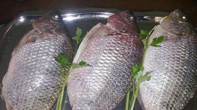 البلطي يسجل 14.5 جنيهًا بسوق العبور