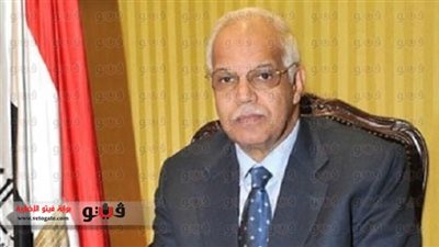 محافظة القاهرة توفر سيارات لنقل المرضى وكبار السن إلى مقرات الاستفتاء