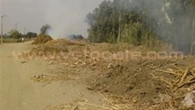 بالصور.. المخلفات ومزارع الدواجن تحاصر قرى طوخ.. الأهالي مهددون بالإصابة بأمراض الربو والحساسية.. مصرف مشتهر يتحول لمستنقع قمامة.. محمود: «نعيش حياة غير آدمية».. وأسماء: طرق الموت تحصد أرواح