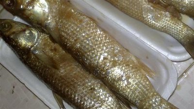 35 جنيهًا للفسيخ الصغير بالشرقية