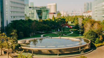 بالصور.. تقنية كاميرا تحول 