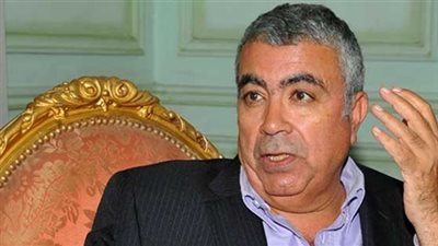 طارق المهدى لـ«فيتو»: الإسكندرية على أتم الاستعداد للاستفتاء.. غدًا