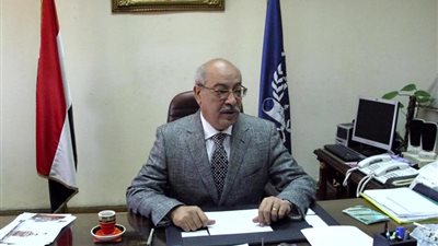 مساعد وزير الداخلية الأسبق: البرادعي لم يصوت على الدستور