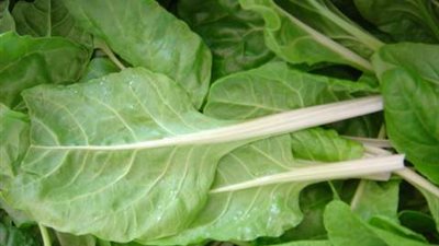 السبانخ تحارب السرطان وتعزز وظائف الدماغ