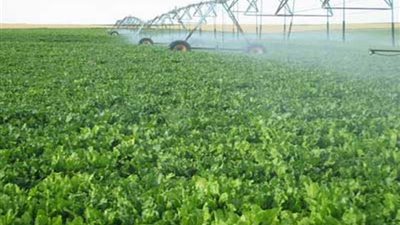 ميخائيل: التوسع الرأسي يحمينا من 