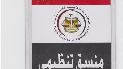 13 ألفا من وزارة الشباب يرتدون بادج العليا للانتخابات لتنظيم الاستفتاء