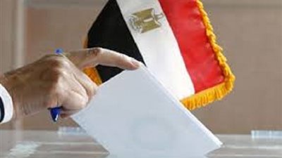 واشنطن: حرية حملات الدعاية عن الاستفتاء في مصر تزيد من مصداقيته