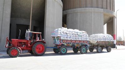 توريد 163 ألف طن قمح بشون وصوامع قنا