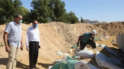 إحالة سائقي سيارات نقل الأقماح في قنا للنيابة العامة | صور