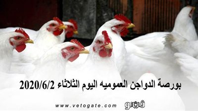 بورصة الدواجن العمومية اليوم الثلاثاء 2020/6/2