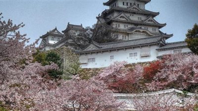 بعد شهرين من الإغلاق.. إعادة افتتاح القصرالإمبراطوري في اليابان