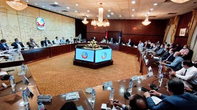 البحيرة تشكل لجنتين لمتابعة المستشفيات وتوافر المستلزمات الطبية