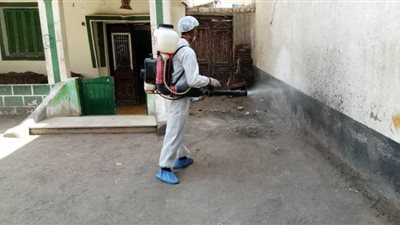 حملات تطهير لعدد من الشوارع والقرى بمراكز ومدن البحيرة