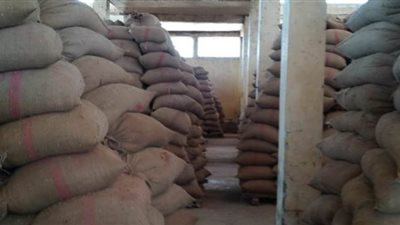 توريد ١٨٦ ألف طن قمح في صوامع الدقهلية