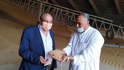 جولة لوكيل وزارة التموين بالإسكندرية على الصوامع والبناكر |صور