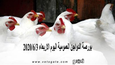 بورصة الدواجن العمومية اليوم الأربعاء 2020/6/3