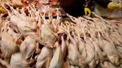 مصادرة 3 أطنان مقطعات وشيش دواجن غير صالحة للاستهلاك الآدمى بالمرج