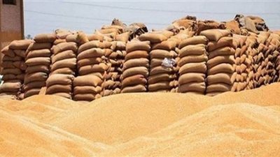 توريد 160 ألفا و718 طن قمح في أسيوط